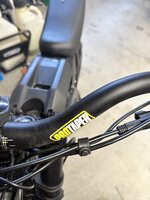 IMG_2455.jpeg IMG_2455.jpeg