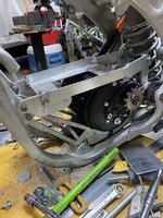 IMG_4954.JPG IMG_4954.JPG