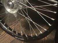 IMG_2209(2).JPEG IMG_2209(2).JPEG