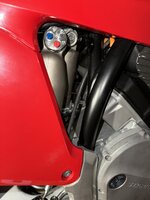 IMG_5324.jpeg IMG_5324.jpeg