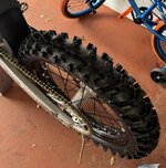 IMG_5551.jpeg IMG_5551.jpeg