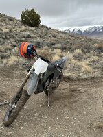 0919B6E0-D218-43D5-B8CD-188047455E6E.jpeg 0919B6E0-D218-43D5-B8CD-188047455E6E.jpeg