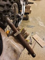 20240219_095103.jpg 20240219_095103.jpg