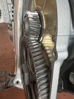 IMG_6345.jpeg IMG_6345.jpeg