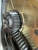 IMG_6346.jpeg IMG_6346.jpeg