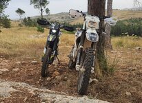 20240427_104958.jpg 20240427_104958.jpg