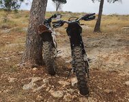 20240427_105739.jpg 20240427_105739.jpg