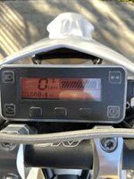 IMG_2516.jpeg IMG_2516.jpeg