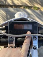 IMG_2517.jpeg IMG_2517.jpeg