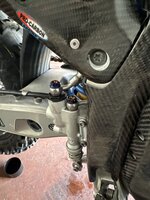 IMG_6851.jpeg IMG_6851.jpeg