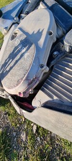 20240923_165535.jpg 20240923_165535.jpg