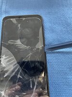 IMG_2426.jpeg IMG_2426.jpeg