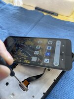 IMG_2432.jpeg IMG_2432.jpeg