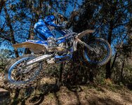 Mondon 1.jpg Mondon 1.jpg