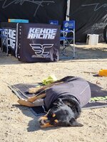 20250202_132847.jpg 20250202_132847.jpg