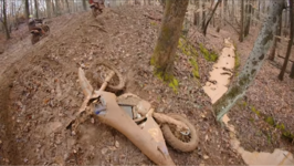 1740038085686.png 1740038085686.png