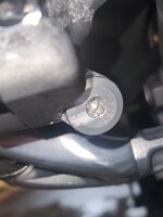 1000055242.jpg 1000055242.jpg