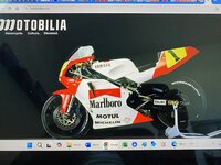 IMG_7597.JPG IMG_7597.JPG