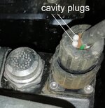 cavity plugs.jpg