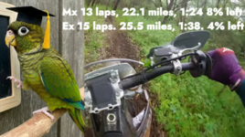 Screenshot_20250421-231904.png Screenshot_20250421-231904.png