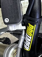 IMG_9619.JPG IMG_9619.JPG