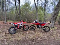 IMG_0459.jpeg IMG_0459.jpeg