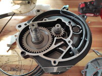 IMG_20210307_091354.jpg IMG_20210307_091354.jpg