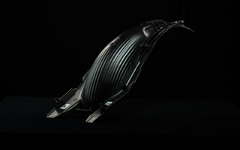 1749746177952.png 1749746177952.png