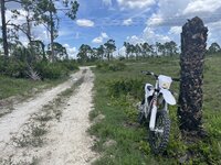 IMG_8236.jpeg