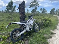 IMG_8235.jpeg