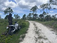 IMG_8234.jpeg