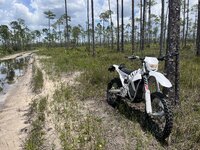 IMG_8232.jpeg