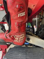 IMG_4237.jpeg IMG_4237.jpeg