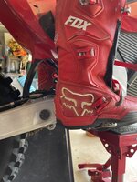 IMG_4238.jpeg IMG_4238.jpeg