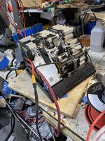 IMG_5931.JPG