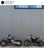 Stark_Komodo.jpg Stark_Komodo.jpg