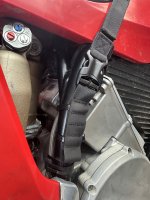 IMG_6407.jpeg