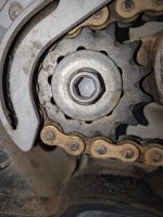 1000008384.jpg 1000008384.jpg