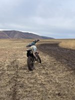 IMG_5364.jpeg IMG_5364.jpeg