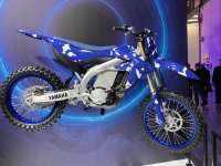 IMG_0136.jpeg IMG_0136.jpeg