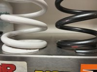 IMG_3970.jpeg IMG_3970.jpeg