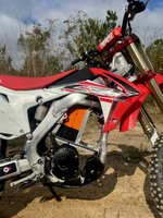 IMG_4260.jpeg IMG_4260.jpeg