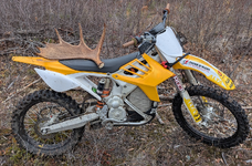 moose horn.png moose horn.png