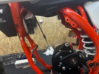 IMG_0232.jpeg IMG_0232.jpeg