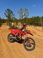 IMG_5302.jpeg IMG_5302.jpeg