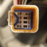 1000018013.jpg 1000018013.jpg