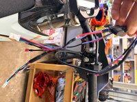 IMG_0822.jpeg IMG_0822.jpeg