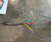 IMG_2881.jpeg