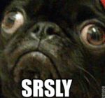 Srlsy%20Pug.gif