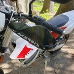 20190508_120009.jpg 20190508_120009.jpg